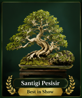 Santigi Pesisir — Best in Show